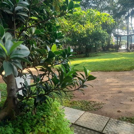 Shashin Lake Resort ダンブッラ エクステリア 写真